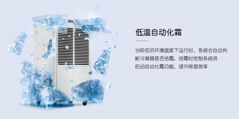 商用麻豆视频观看网站6