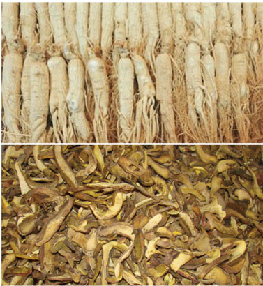 中藥材烘幹處理解決方案